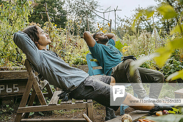 Male farmers resting on wooden chair in urban garden