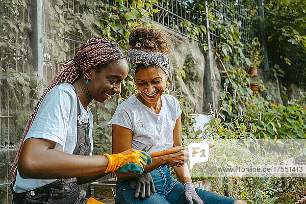 Happy female environmentalist peeling carrot while sitting by woman in farm