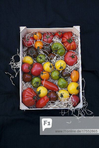 Holzkiste mit bunten Tomatensorten