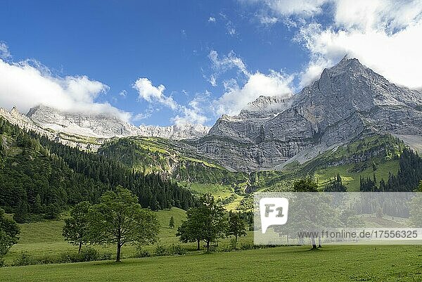 Gebirgslandschaft mit Ahornbäumen im Almgebiet Eng vor Spritzkarspitze  Karwendel-Gebirge  Tirol  Österreich  Europa