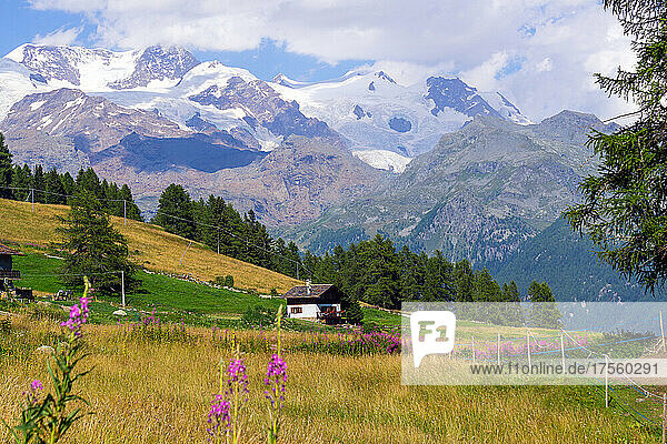 Italien  Aosta-Tal  Ayas  Berglandschaft