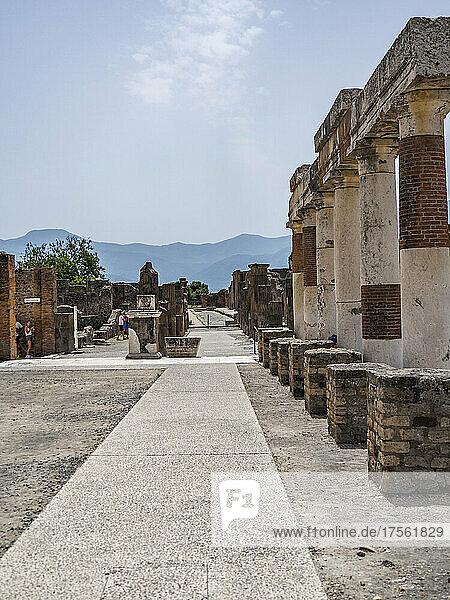 Italy  Campania  Pompeii  archeological site  Ruins of ancient Roman city