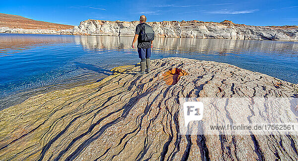 Mann wandert entlang des felsigen Ufers des Lake Powell in einem Gebiet namens Chains im Glen Canyon Recreation Area  Page  Arizona  Vereinigte Staaten von Amerika  Nordamerika