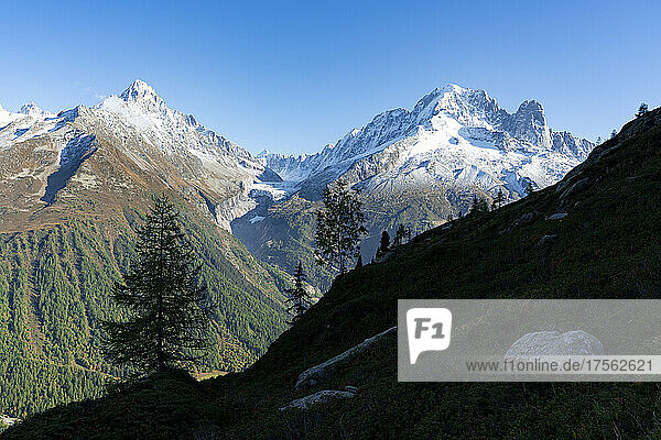 Majestätische Gipfel Aiguille du Chardonnet  Aiguille Verte und Argentiere-Gletscher  Mont Blanc-Massiv  Chamonix  Hochsavoyen  Französische Alpen  Frankreich  Europa