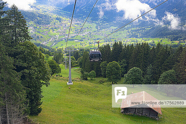Seilbahn bergauf zwischen grünen Alpenwiesen und Wald  Grindelwald  Mannlichen  Jungfrau Region  Kanton Bern  Schweizer Alpen  Schweiz  Europa