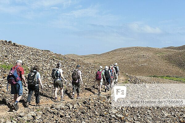 Hiking group  barren landscape  hikers walking one behind the other on hiking trail through lava-tuff rock at Calderón Hondo volcano near Lajares  Fuerteventura  Canary Islands  Spain  Europe