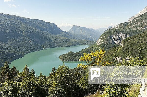 Ausblick auf den See Lago di Molveno Molvenosee  gelb blühender Baum Gemeiner Goldregen (Laburnum anagyroides)  Brenta-Dolomiten  Molveno  Malfein  Provinz Trient  Trentino  Italien  Europa