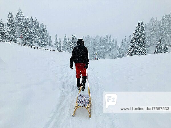 Mann zieht einen Schlitten durch den Schnee  verschneite Landschaft bei Schneefall  Spitzingsee  Oberbayern  Bayern  Deutschland  Europa