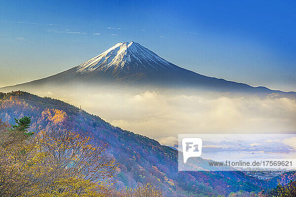 Yamanashi Mount Fuji  Sea Of Clouds And Yellow Leaves