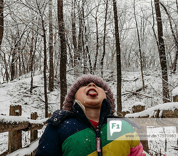 Kid catching snowflakes with tongue in the woods
