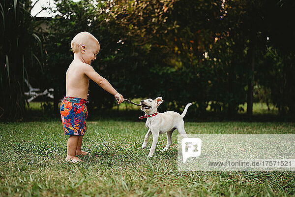 Baby boy playing with a cute puppy with a stick outside in summer