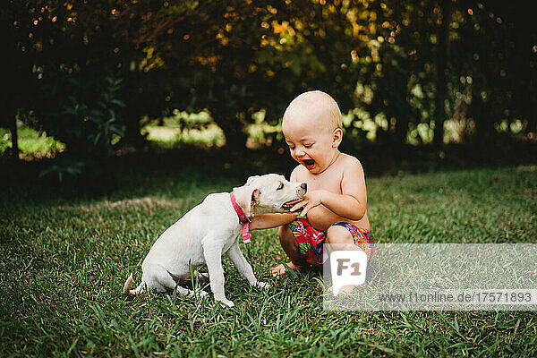 Cute puppy biting baby's little hand in backyard in summer
