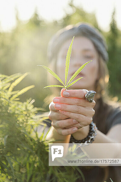 Woman in the Cannabis plant  Girl standing with Marijuana or Hem