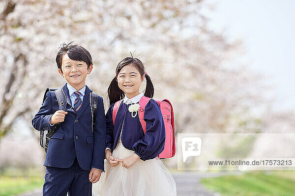Japanese Elementary School Students With Under The Cherry Blossoms
