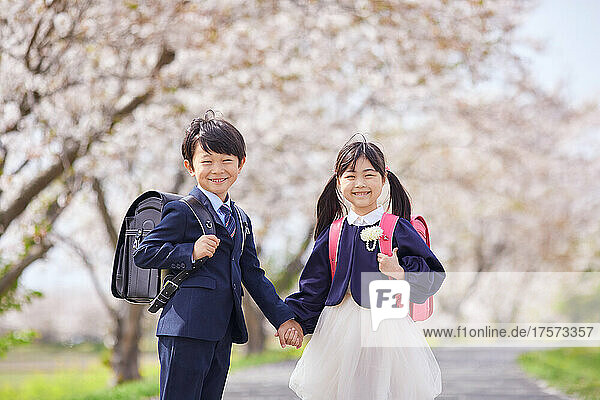 Japanese Elementary School Student Holding Hands With Under The Cherry Blossoms