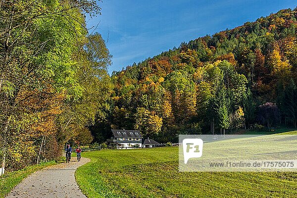 Herbstlandschaft mit kleinem Haus und bunten Bäumen in der Nähe von Graz  Region Steiermark  Österreich  Europa