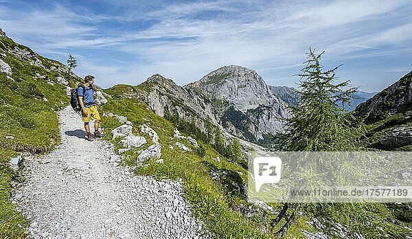 Hikers on the hiking trail to the Lamsenspitze from the Falzthurntal  in the back summit of the Sonnjoch  Karwendel Mountains  Alpenpark Karwendel  Tyrol  Austria  Europe