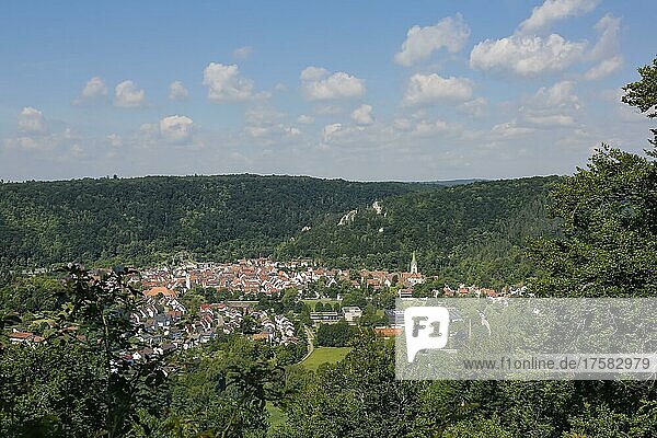 Ausblick auf Blaubeuren  Häuser  Dächer  Kirchturm  Bäume  Baden-Württemberg  Deutschland  Europa