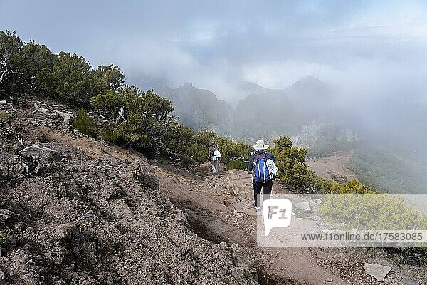 Hikers on trail to the summit of Pico Ruivo  Madeira  Portugal  Europe