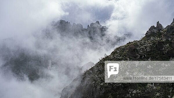 Nebel in Schlucht  Ausblick vom Gipfel Pico Ruivo  Madeira  Portugal  Europa