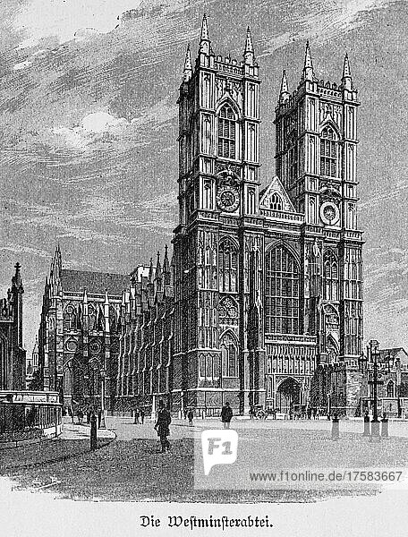 Westminster Abbey  London  historical illustration  wood engraving  19th century