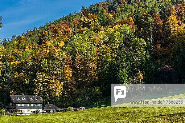 Herbstlandschaft mit kleinem Haus und bunten Bäumen in der Nähe von Graz  Steiermark  Österreich  Europa