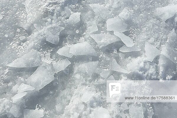 Eisbrocken auf einer gefrorenen Fläche  Sankt-Lorenz-Strom  Provinz Quebec  Kanada  Nordamerika
