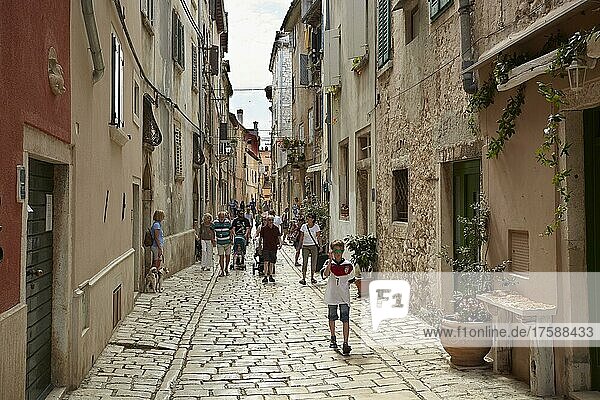 Alley in the old town  Rovinj  Istria  Croatia  Europe
