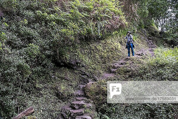 Hiker on hiking trail at Miradouro do Cabo de Larano  Madeira  Portugal  Europe