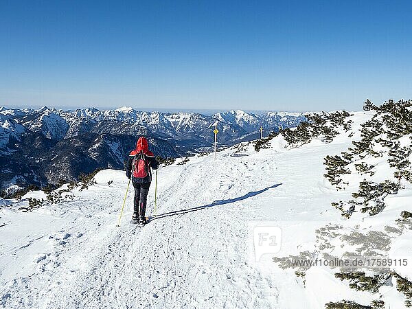 Blauer Himmel über Winterlandschaft  Schneeschuhwanderin am Five Fingers trail  Krippenstein  Salzkammergutt  Oberösterreich  Österreich  Europa