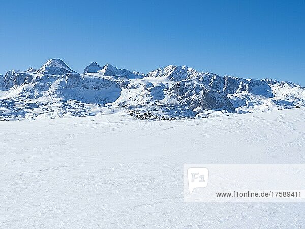 Winterlandschaft in den verschneiten Alpen  Dachsteinmassiv  Blick vom Hochplateau am Krippenstein  Salzkammergut  Oberösterreich  Österreich  Europa