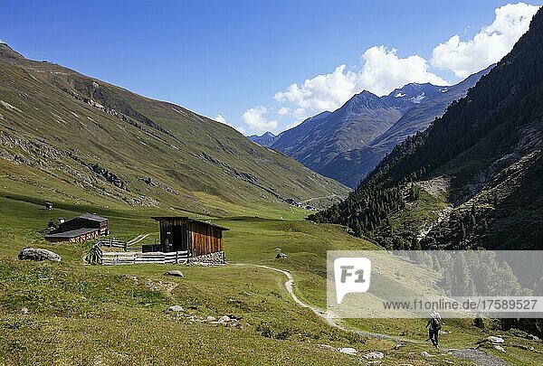 Hikers walking on the alpine pastures in the Rofental  Vent  Venter Tal  municipality of Sölden  Ötztal Alps  Tyrol  Austria  Europe