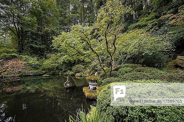 Angelegter Teich mit Schrein in dicht bewachsenem Garten  Japanischer Garten  Portland  Oregon  USA  Nordamerika