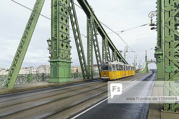 Straßenbahn auf Freiheitsbrücke  Budapest  Ungarn  Europa