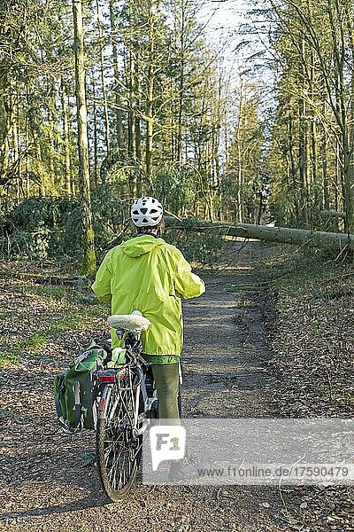 Woman cycling through the forest on an e-bike after a storm  a fallen tree blocks the way  Lüneburg  Lower Saxony  Germany  Europe