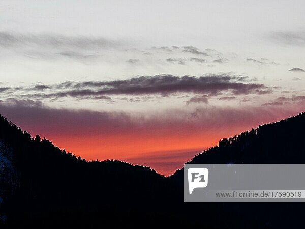 Silhouette von Bäumen vor Wolken im Morgenrot bei Sonnenaufgang  Leoben  Steiermark  Österreich  Europa