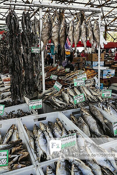 Stockfisch  Räucherfisch  Markthalle  Pryvoz Markt  größter Lebensmittelmarkt in Odessa  Ukraine  Europa
