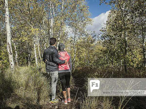 Rear view of couple in forest