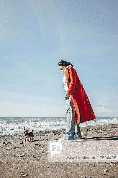 Junge Frau spielt mit Hund am Strand