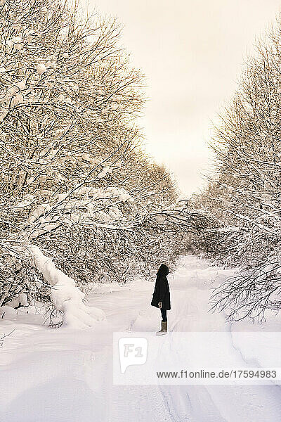 Female hiker standing in middle of snow covered forest road