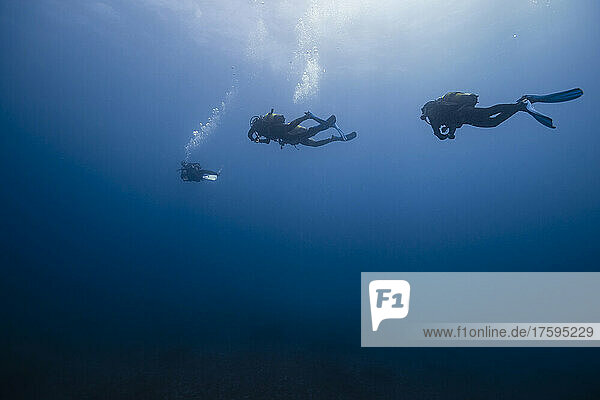 Young friends with diving equipment in blue sea