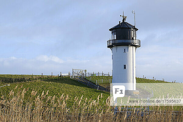 Germany  Lower Saxony  Cuxhaven  Dicke Berta lighthouse with reeds in foreground