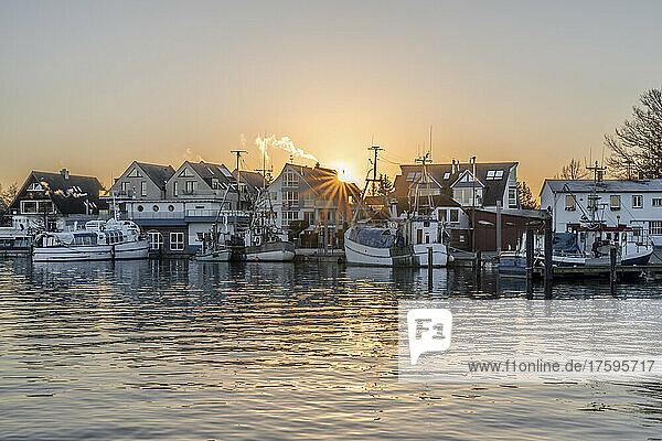 Germany  Schleswig-Holstein  Niendorf  Fishing boats moored in town harbor at sunrise