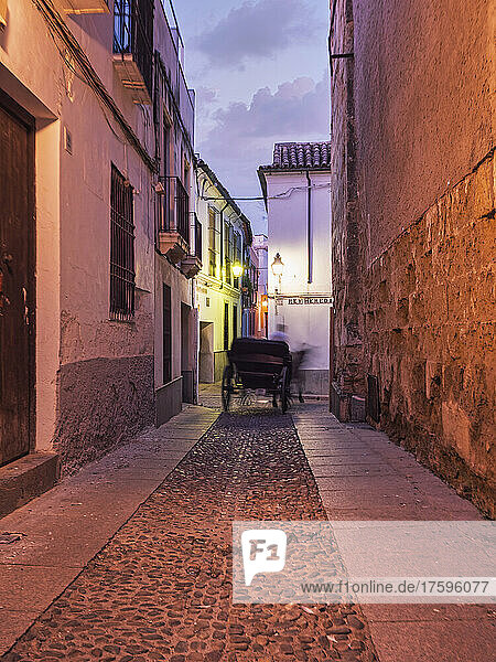 Spain  Province of Cordoba  Cordoba  Carriage driving past cobblestone alley in historic old town at dusk