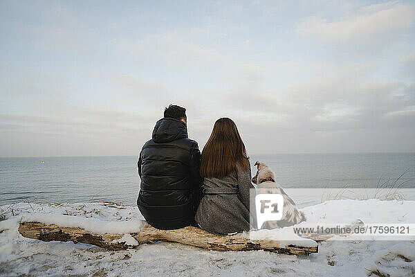 Junges Paar sitzt mit australischem Schäferhund auf schneebedecktem Baumstamm am Strand