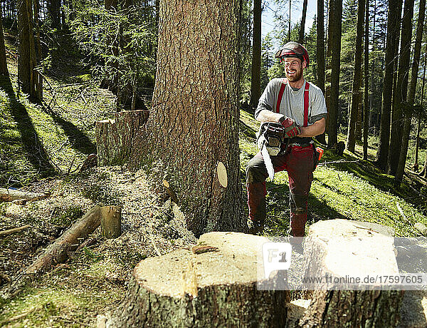 Smiling forester with hand saw looking at tree in forest