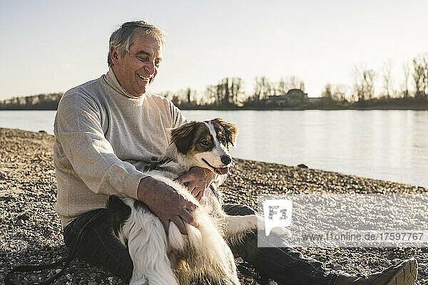 Happy senior man looking at pet dog on sunny day