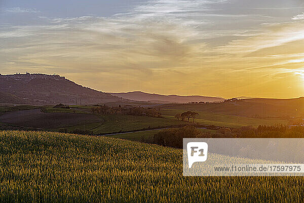 Italy  Province of Siena  Meadow in Val dOrcia at dusk