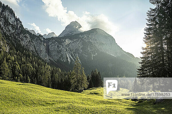 Sommerwiese in der Mieminger Bergkette bei Sonnenuntergang mit einer einsamen Hütte im Hintergrund