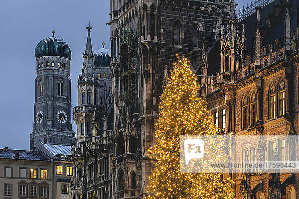 Deutschland  Bayern  München  Weihnachtsbaum leuchtet in der Abenddämmerung auf dem Marienplatz  im Hintergrund der Dom zu Unserer Lieben Frau und das Rathaus